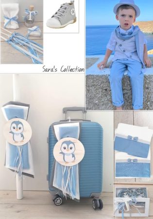 set_vaptisis_thema_pigkoyinos_athina_paketo_vaptisis_thema_pigkoyinos_peristeri_set_vaptisis_me_valitsa_troley_thema_ta_zoa_vaptistika_me_thema_ta_zoa_valitsa_troley_me_thema_pigkouinos_